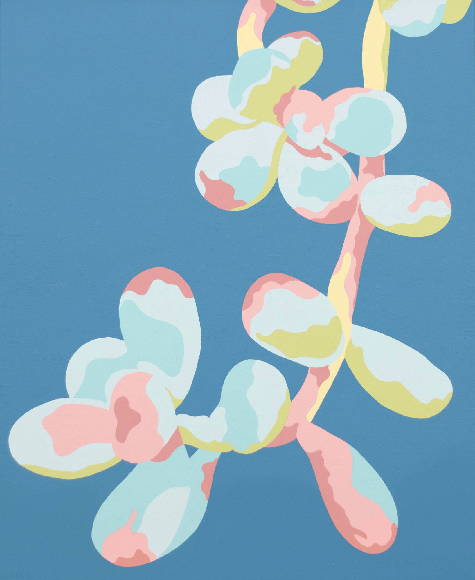 Chromatic Succulents #2