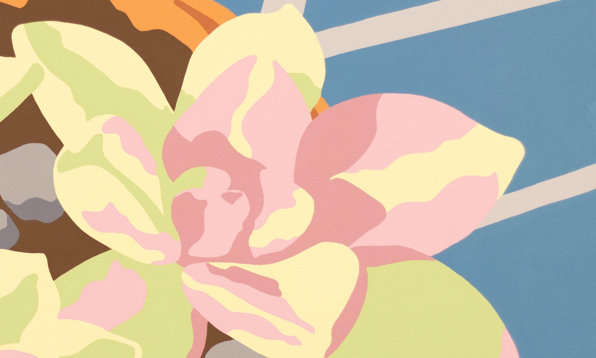 Chromatic Succulents #4