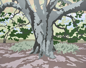 Load image into Gallery viewer, Audubon Live Oak #1
